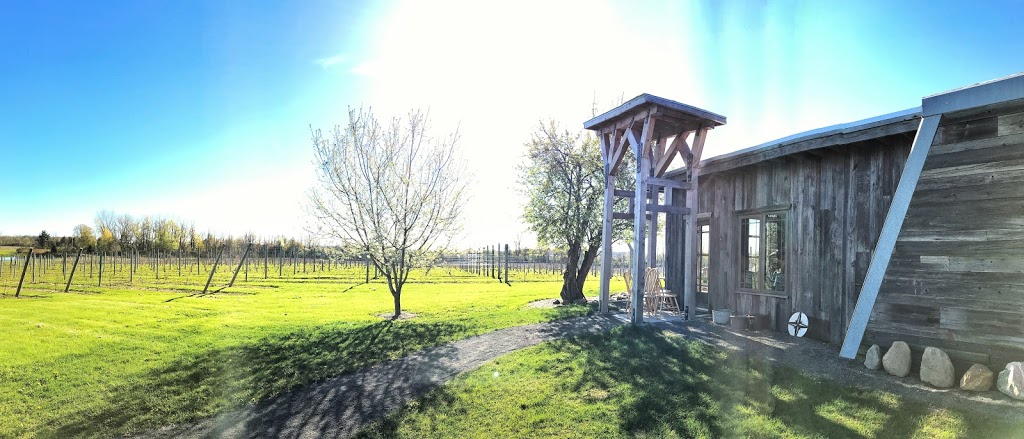 3 North Vines | 5940 Peck Rd, Croswell, MI 48422, USA | Phone: (810) 956-2706