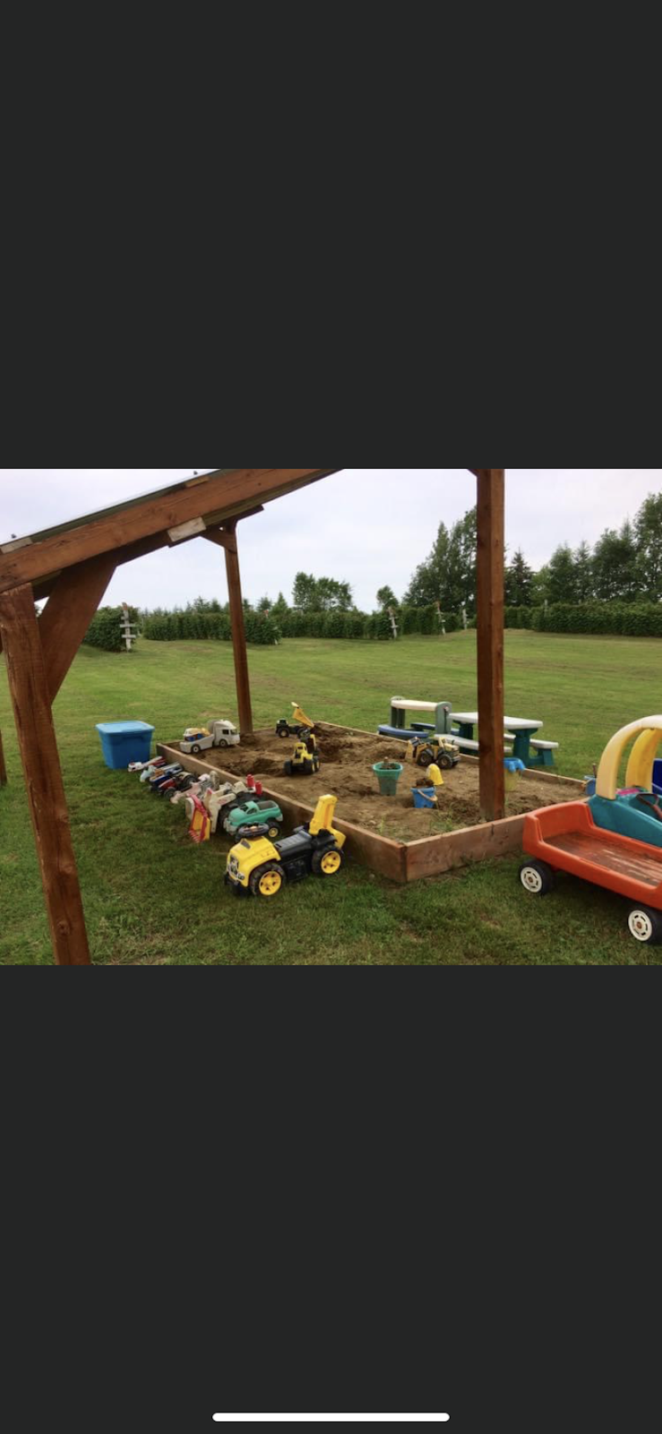 ferme aux petits fruits | 292 Rang de la Rivière Blanche, Saint-Alban, QC G0A 3B0, Canada | Phone: (418) 283-2878