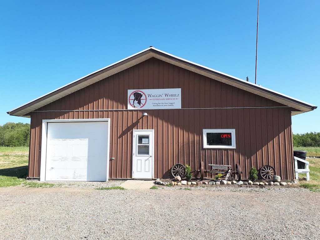 Waggin Wheelz Veterinary Services | 700 Ave A West, Wynyard, SK S0A 4T0, Canada | Phone: (306) 554-9663