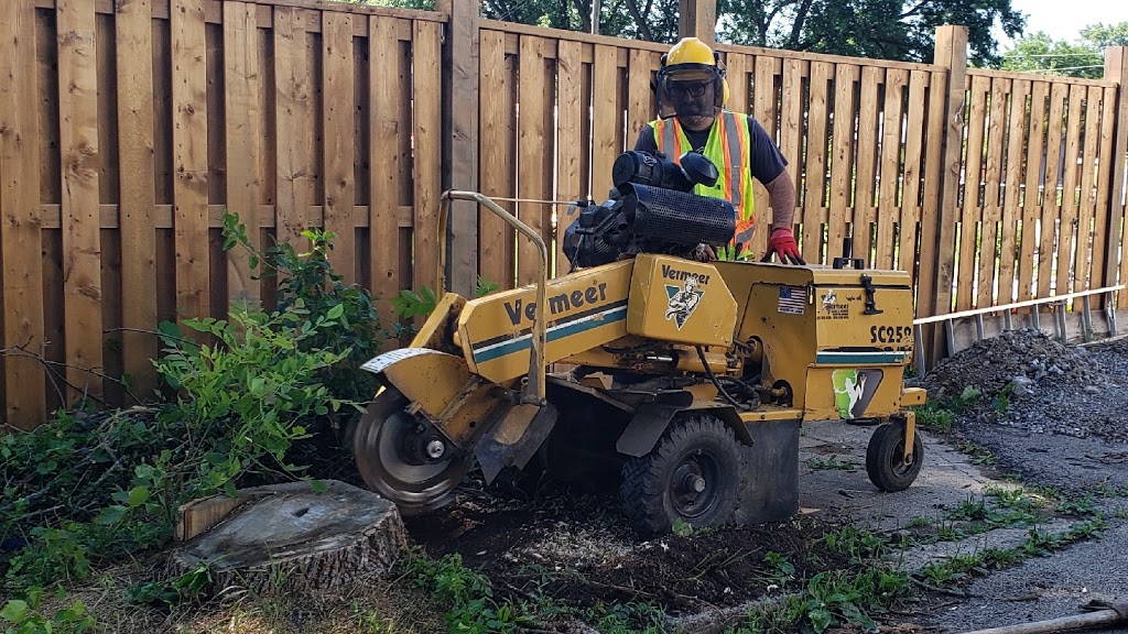 Apple Stump Removal | 1900 Garrison Rd, Fort Erie, ON L2A 5M4, Canada | Phone: (905) 327-6666