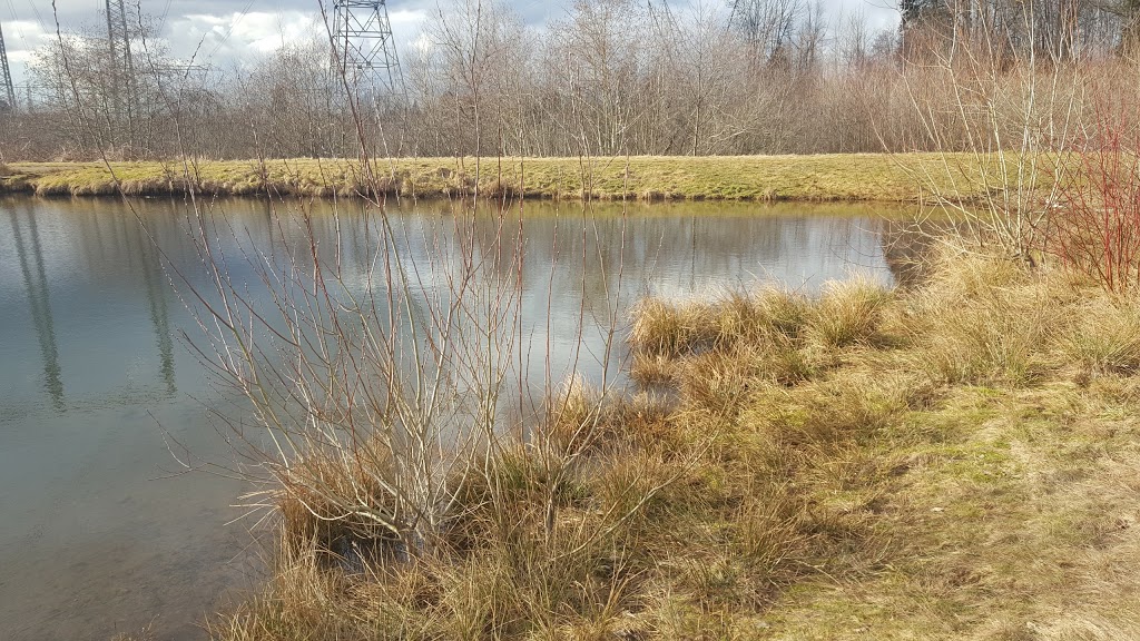 McKee Creek Park | Upper Ten Oaks, Abbotsford, BC V2S 6K6, Canada | Phone: (604) 853-2281