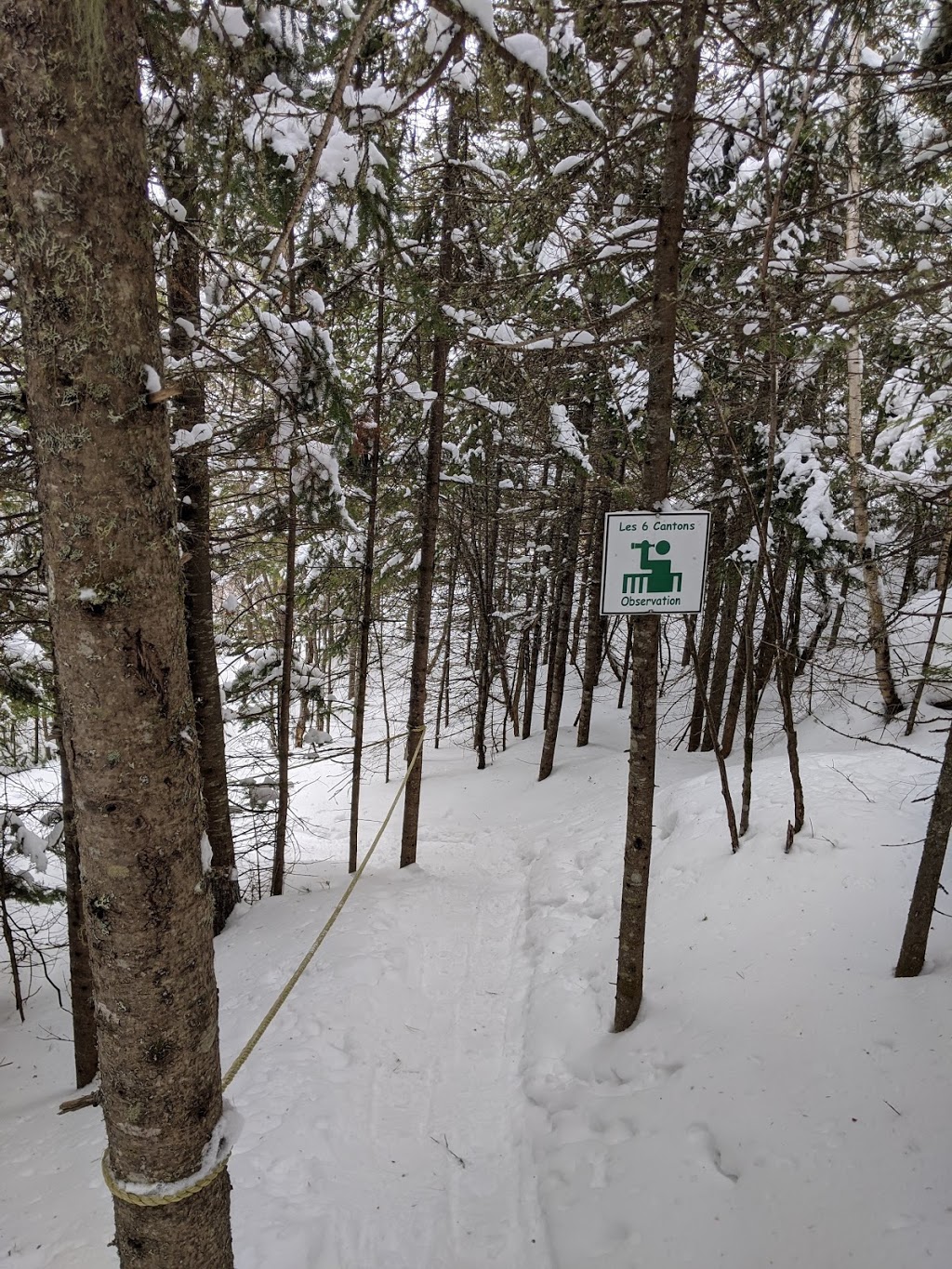 Club de ski des six cantons | 4265 Chemin de la Macaza, Rivière-Rouge, QC J0T 1T0, Canada | Phone: (819) 275-2577