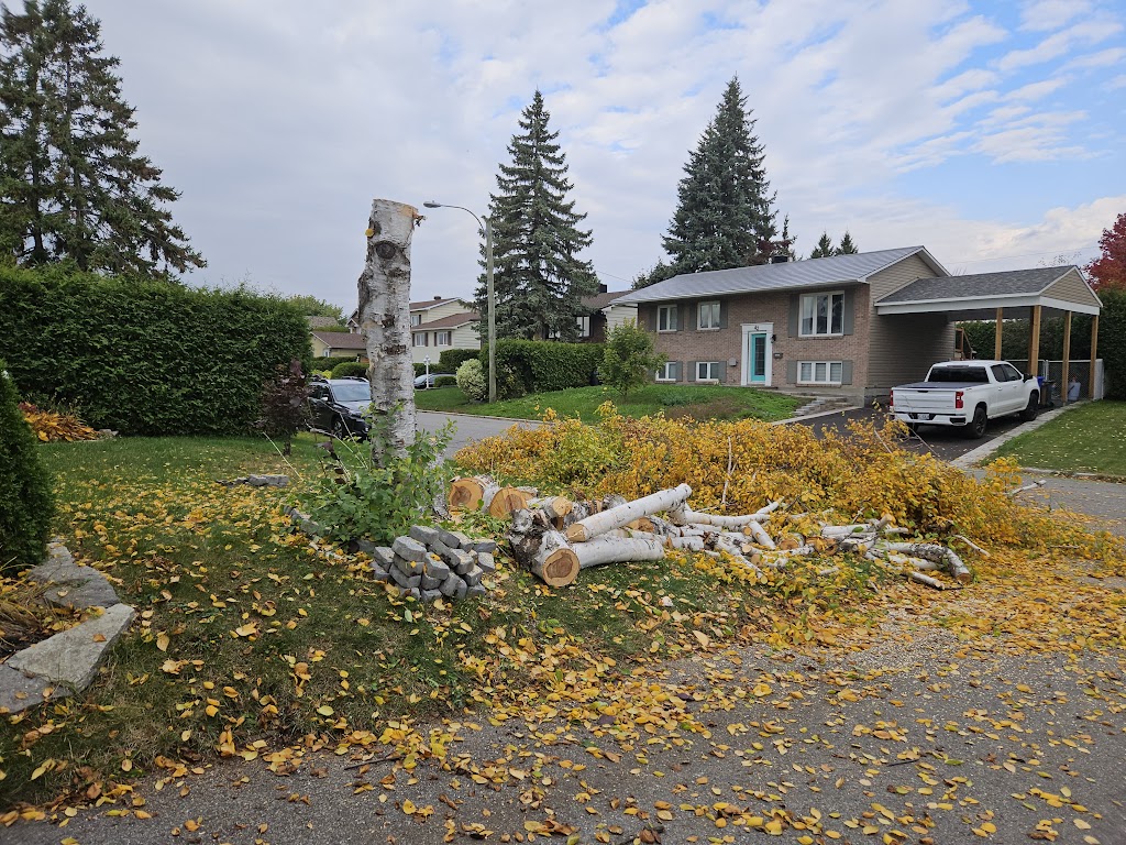 Émondage Everest | 442 Chem. Saint-Antoine, Val-des-Monts, QC J8N 7H9, Canada | Phone: (819) 671-9651