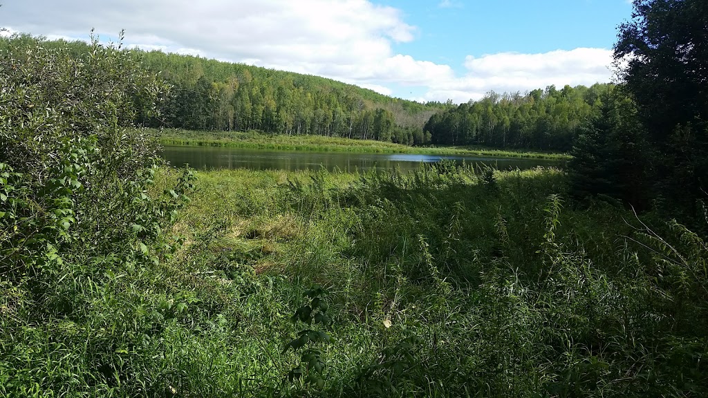 Chicakoo Lake Recreation Area | Range Rd 13, Onoway, AB T0E 1V0, Canada