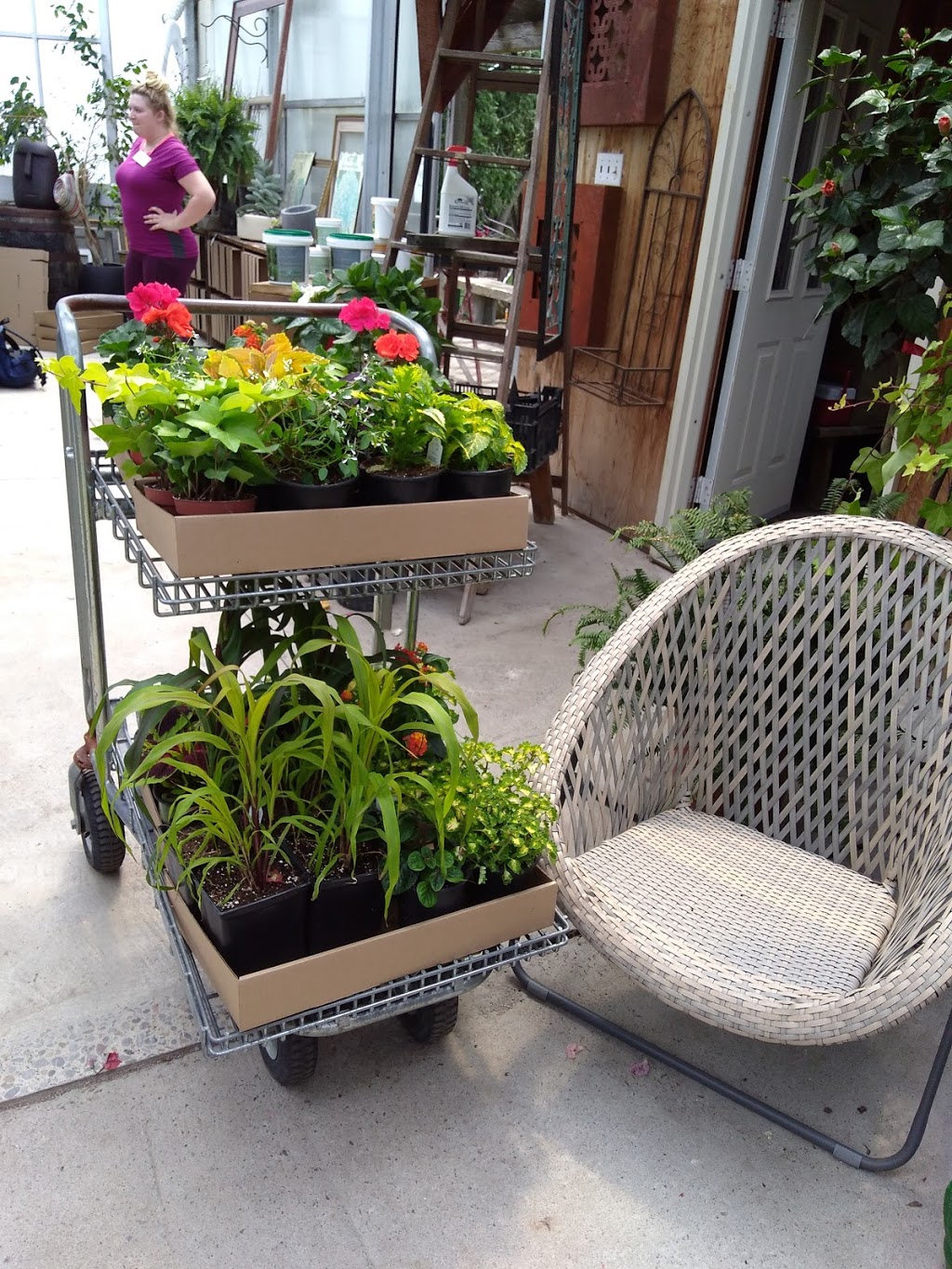 Greenhouse On The River | 4115 County Rd 32, Douro-Dummer, ON K0L 2H0, Canada | Phone: (705) 652-8154