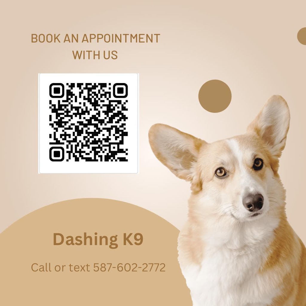 Dashing K9 | 74 Amery Cres, Crossfield, AB T0M 0S0, Canada | Phone: (587) 602-2772