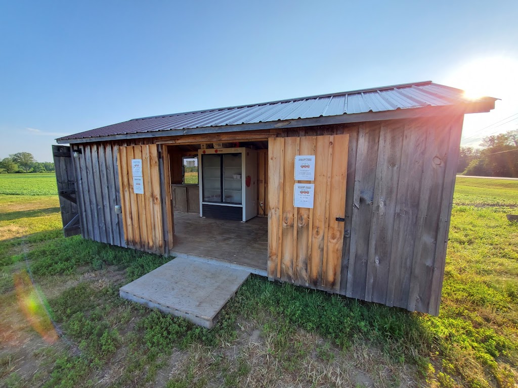 Mississippi Berries | 2430 Ferguson Falls Rd, Lanark, ON K0G 1K0, Canada | Phone: (613) 259-9911