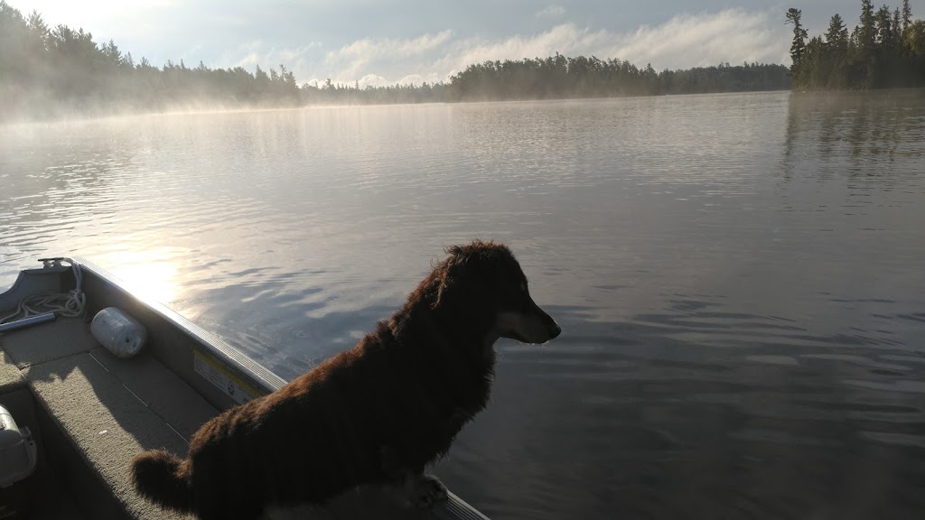 Wilson Lake Cottages | 250 Wilson Lake Rd, Temagami, ON P0H 2H0, Canada | Phone: (705) 569-3710
