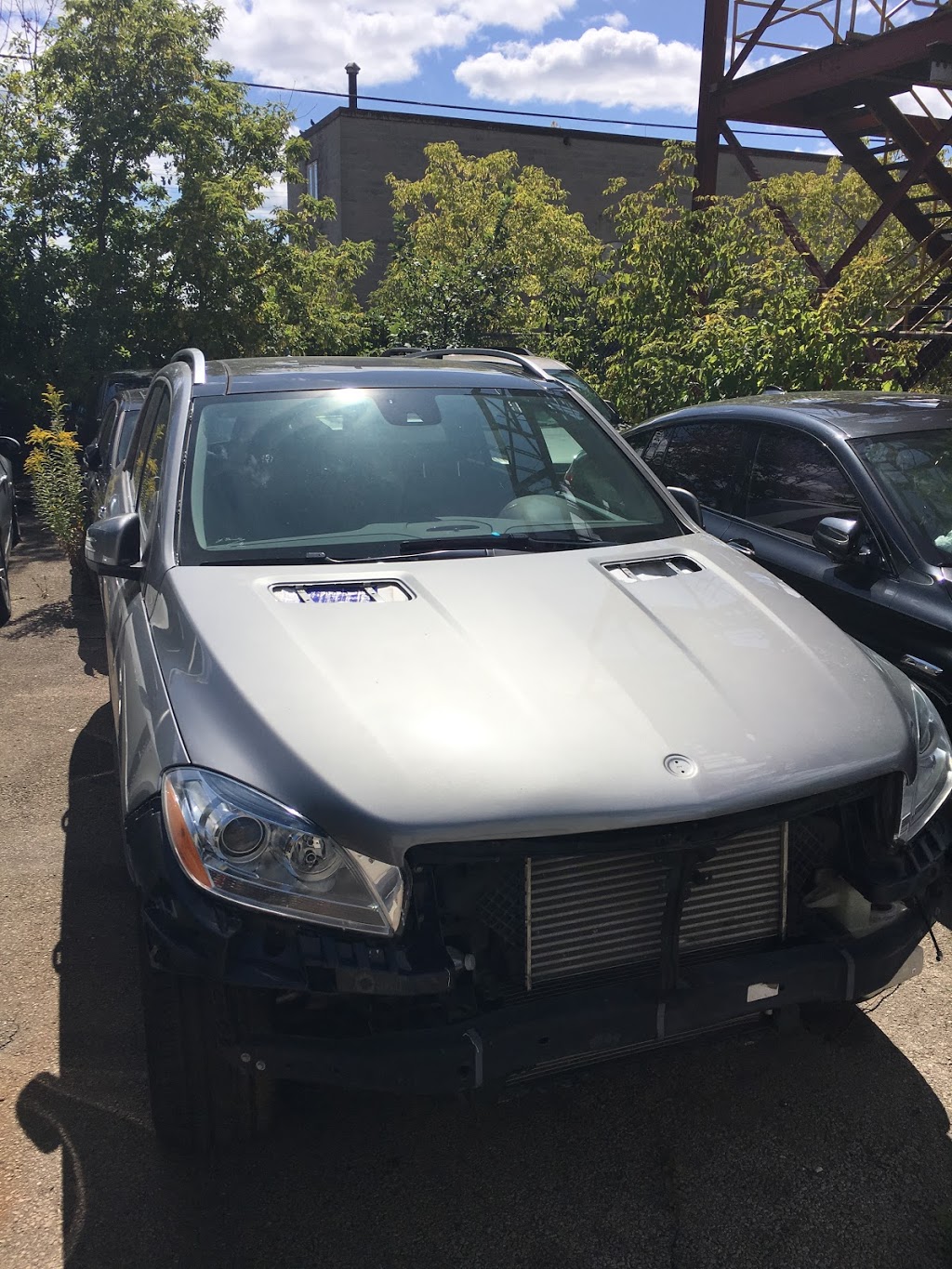 Gala Motors | 379 Munster Ave, Etobicoke, ON M8Z 3C8, Canada | Phone: (416) 233-6700