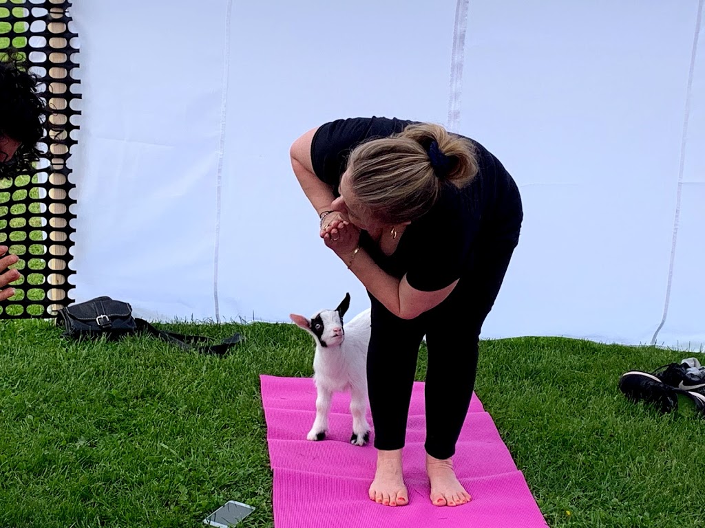 Goat Your Back Farm & Yoga | 1797 10th Side Rd, Tottenham, ON L0G 1W0, Canada | Phone: (416) 970-3089