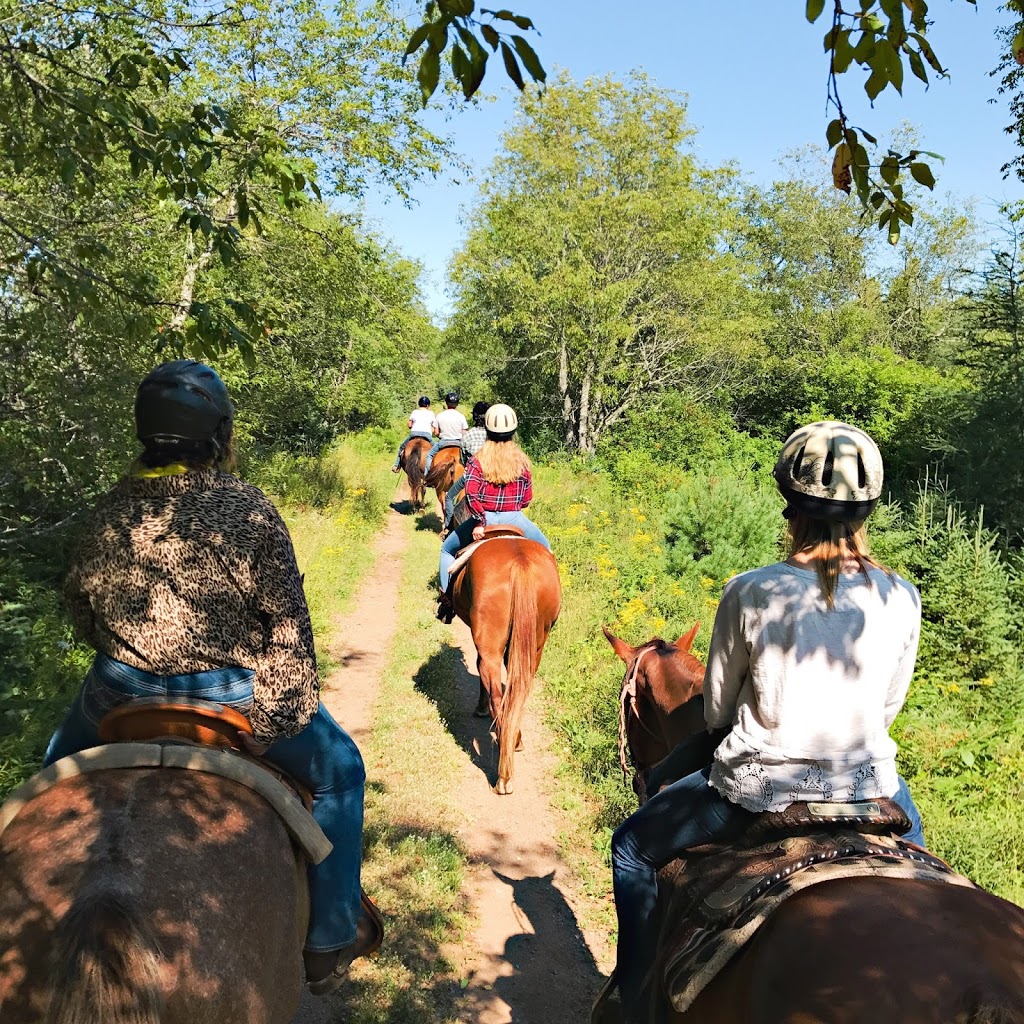 Evangeline Trail Rides | 2147 N River Rd, Scotch Village, NS B0N 2G0, Canada | Phone: (902) 632-2637