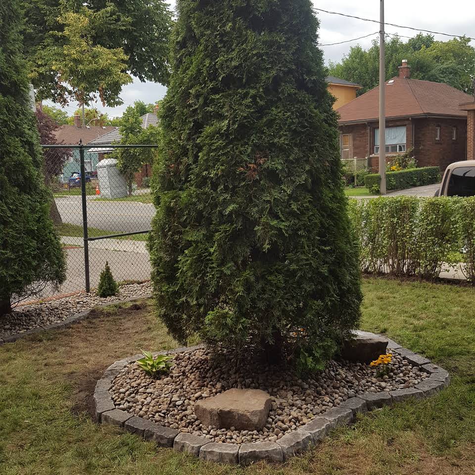 Langs Clean Garden | 259 Thorncrest Dr, Waterloo, ON N2L 4L2, Canada | Phone: (647) 760-1255