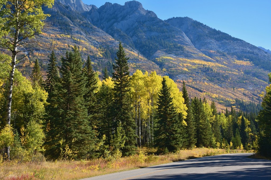 Bow Valley Parkway | Bow Valley Pkwy, Improvement District No. 9, AB T0L 1E0, Canada | Phone: (250) 726-6242