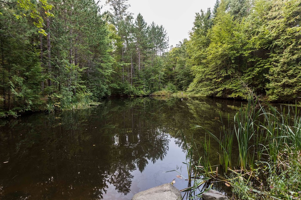 Tiny Village Ottawa River (formerly Ryans campsite and Gifts) | 34572 ON-17, Deep River, ON K0J 1P0, Canada | Phone: (613) 584-3453