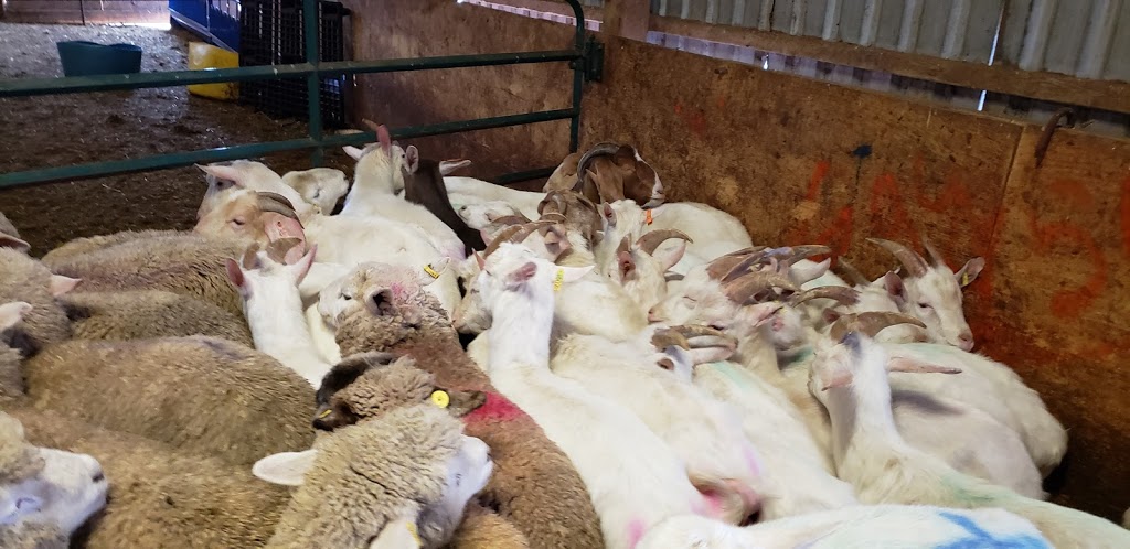Ontario Halal Meat Packers | 5593 Regional Rd 25, Milton, ON L9T 2X5, Canada | Phone: (905) 875-0270