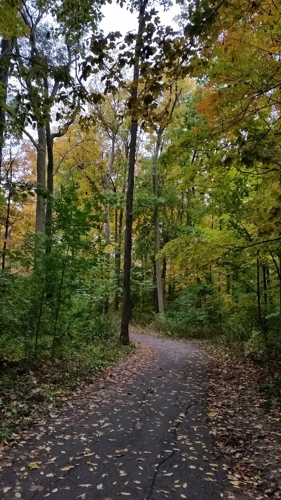 Maplewood Park | Maplewood Park Pathway, Mississauga, ON L5N, Canada