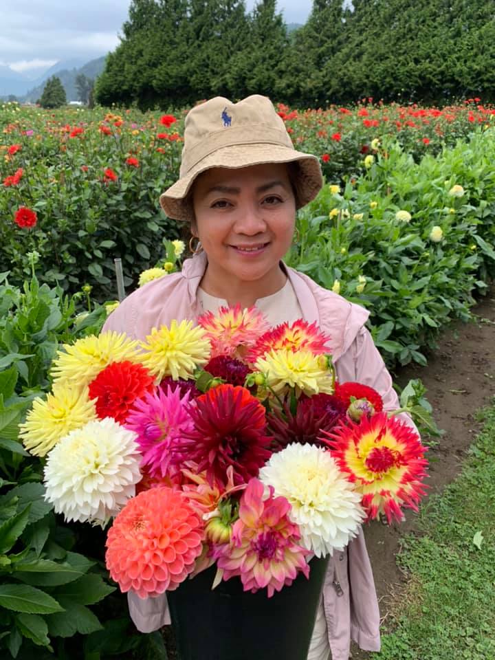 Moore Blooms Dahlias | 6953 Lickman Rd, Chilliwack, BC V2R 4A9, Canada | Phone: (604) 845-4745