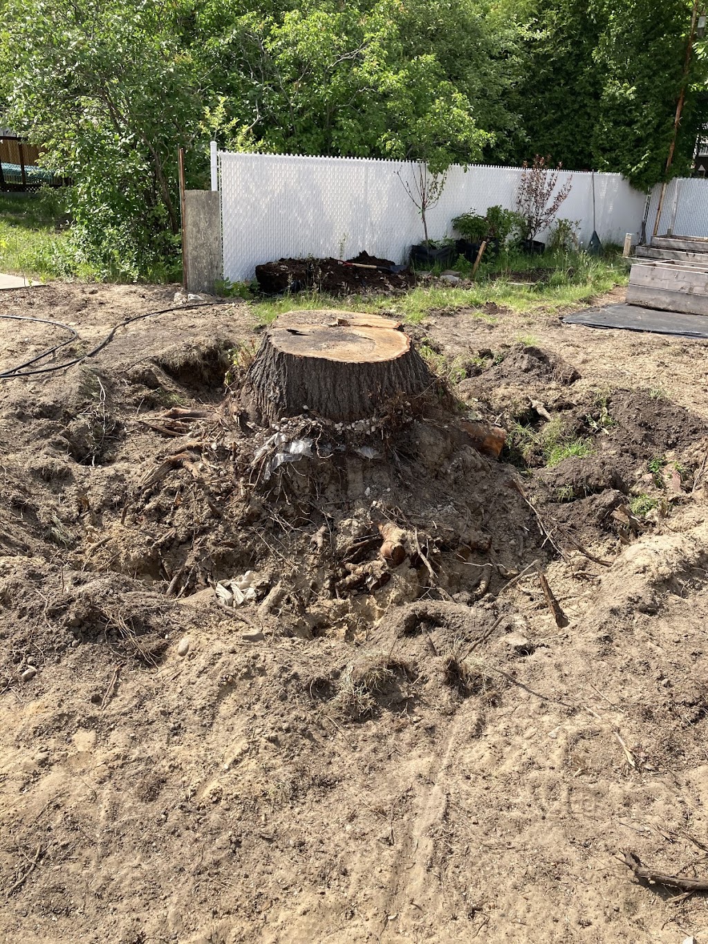 Mini Excavation SB Inc | 302 Rue du Bord-de-lEau, Sorel-Tracy, QC J3P 7Z8, Canada | Phone: (450) 880-1299