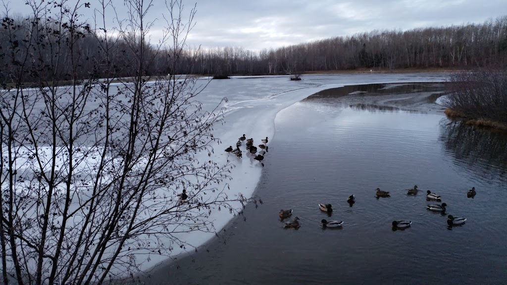 Trenton Park | 119 Park Rd, Trenton, NS B0K 1X0, Canada | Phone: (902) 752-1019