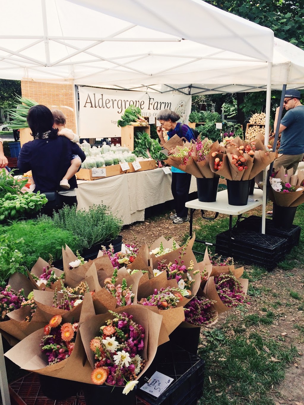 Aldergrove Farm | 211537 Baseline Rd, Mount Forest, ON N0G 2L0, Canada | Phone: (647) 927-8763