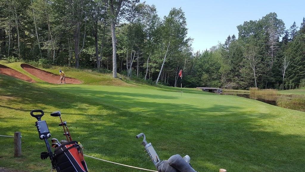 Forest Hills Disc & Golf Course | 286 Forest Hills Ln, Hunter River, PE C0A 1N0, Canada | Phone: (902) 963-2887