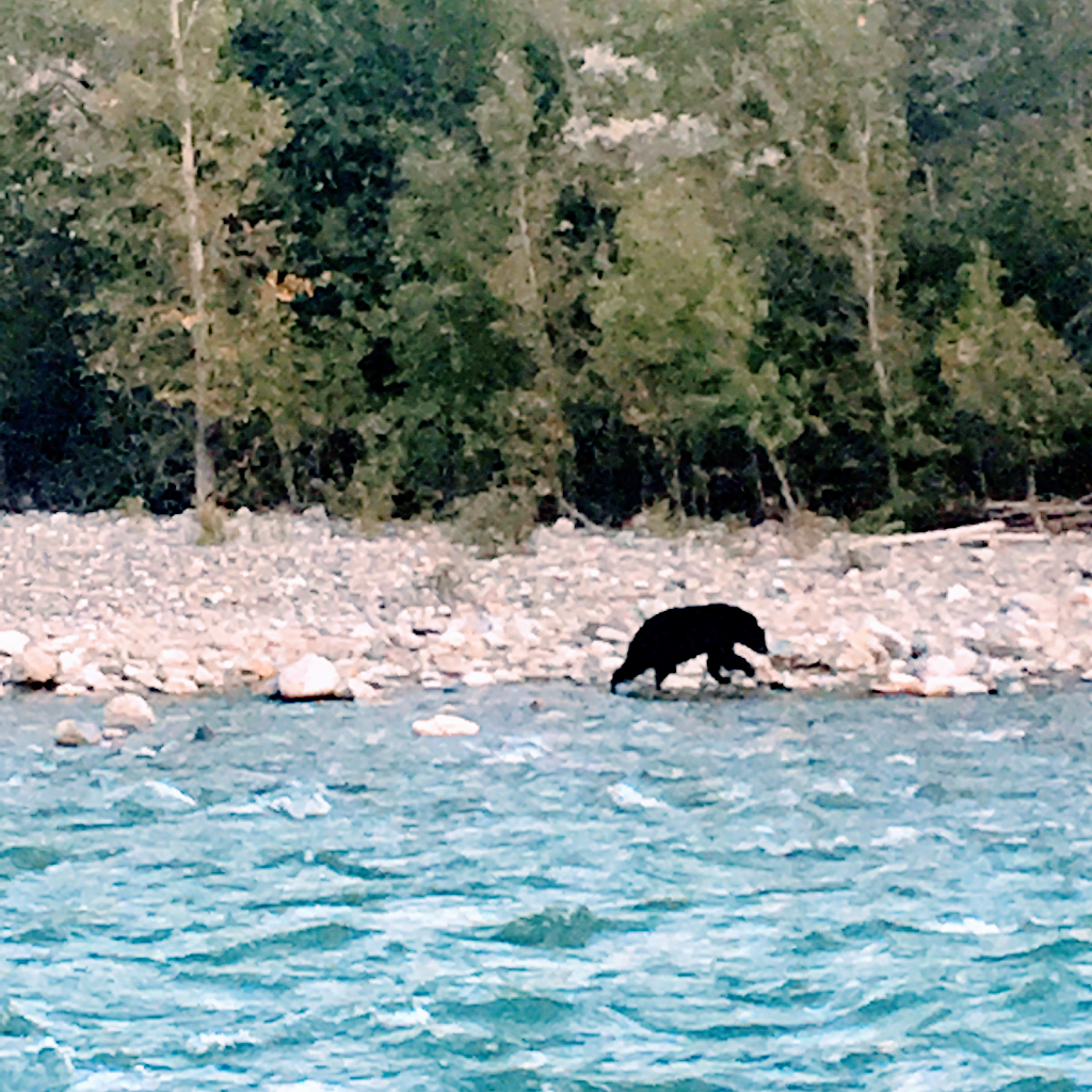 Cayoosh Creek Campground | 100 BC-99 N, Lillooet, BC V0K 1V0, Canada | Phone: (250) 256-9394