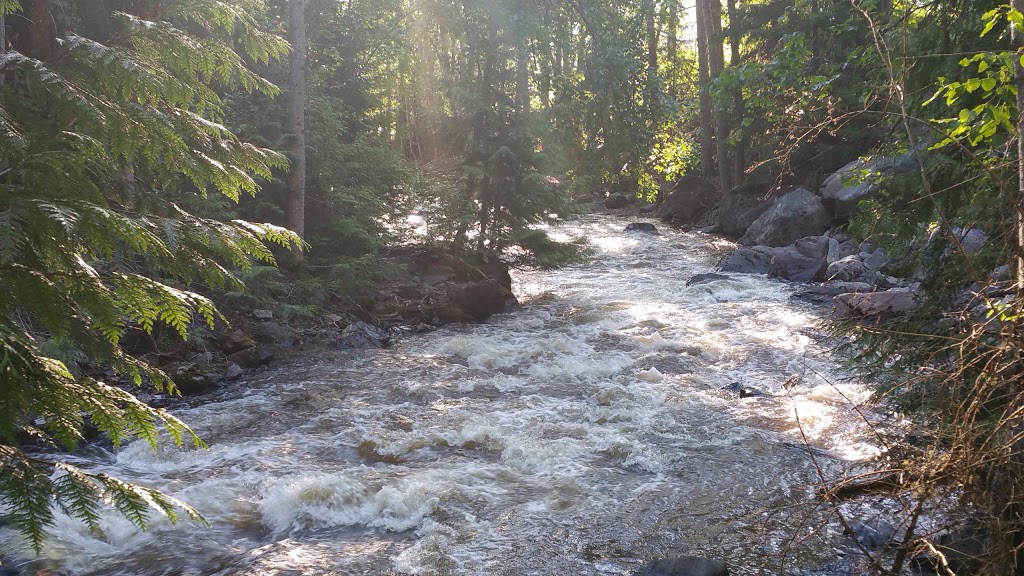 Treetop Flyers | 305 Brooke Dr, Chase, BC V0E 1M0, Canada | Phone: (866) 343-6761