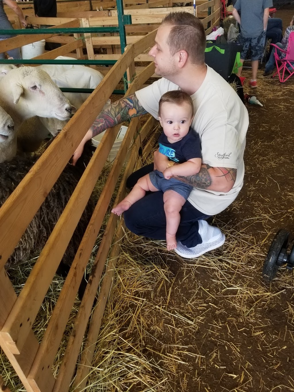 Ilderton Agricultural Society | 195 King St, Ilderton, ON N0M 2A0, Canada | Phone: (519) 666-2995