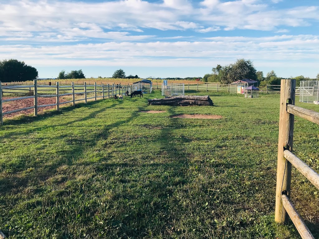 Willowbank U-Pick Farm | Starrs, 110 Starrs Point Loop, Port Williams, NS B0P 1T0, Canada | Phone: (902) 542-9153
