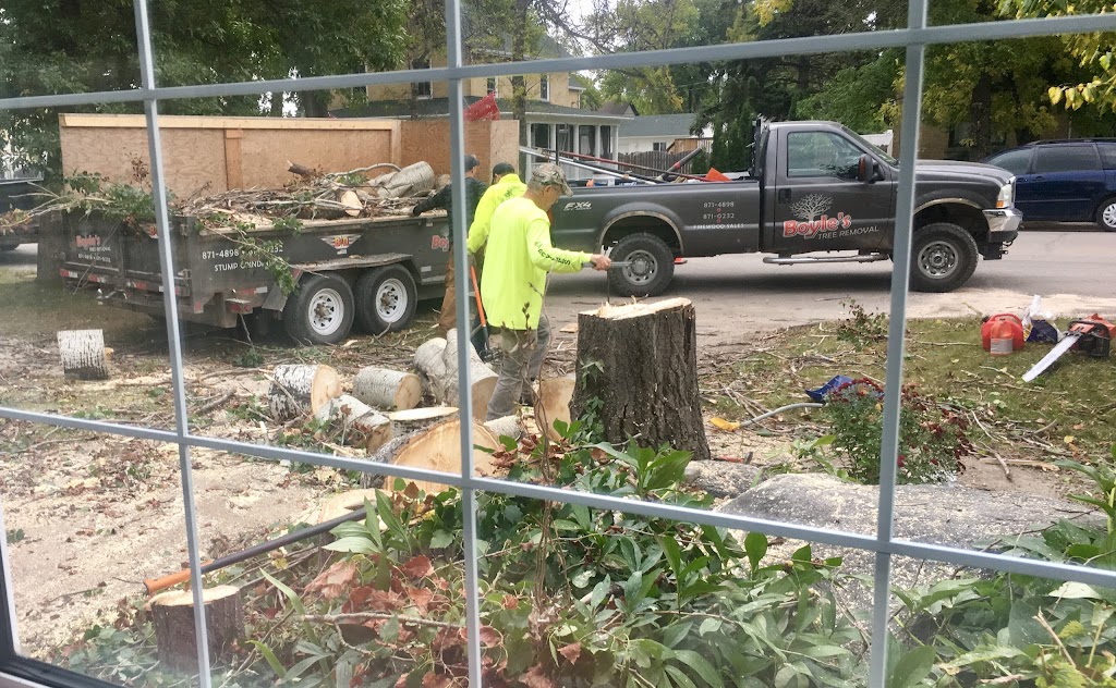 Boyles Tree Removal | 809 8 St NW, Portage la Prairie, MB R1N 3P5, Canada | Phone: (204) 871-4898