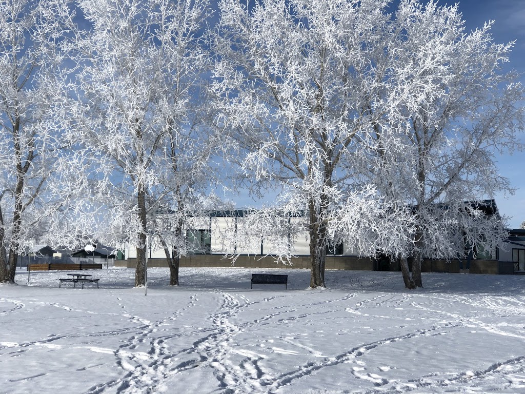 Vulcan Prairieview Elementary School | 305 6 Ave S, Vulcan, AB T0L 2B0, Canada | Phone: (403) 485-2074
