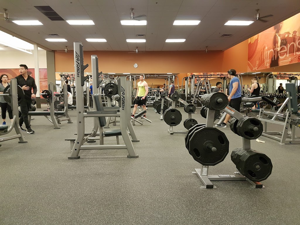 LA Fitness | 12410 167 Ave NW, Edmonton, AB T6V 1B1, Canada | Phone: (780) 666-4155