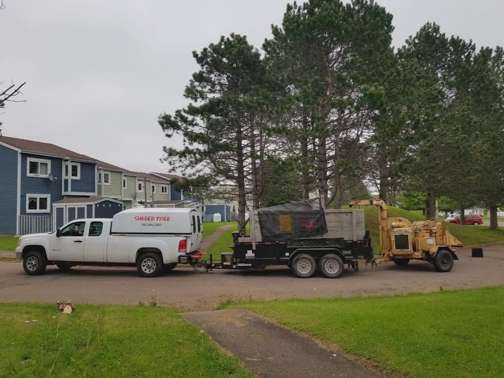 Shaded Tree Service | 10 Mountain Lee Rd, North River, NS B6L 6G8, Canada | Phone: (902) 890-2081
