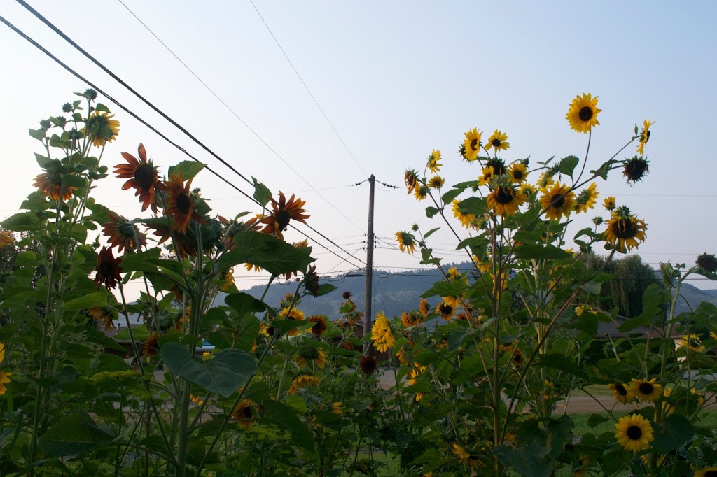 Newport Beach Land Co | 12069 Westside Rd, Vernon, BC V1H 2A5, Canada | Phone: (250) 542-7432