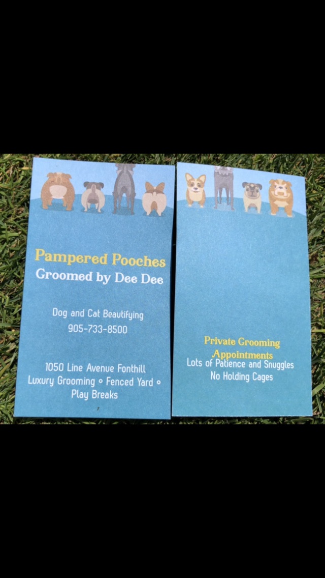 Pampered Pooches by Dee Dee | 1050 Line Ave A, Welland, ON L3C 3C3, Canada | Phone: (905) 733-8500