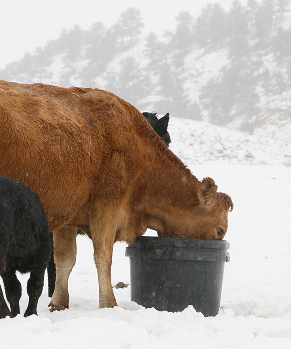 OLS Tubs | se6-41-23-w2, Middle Lake, SK S0K 2X0, Canada | Phone: (306) 231-7567