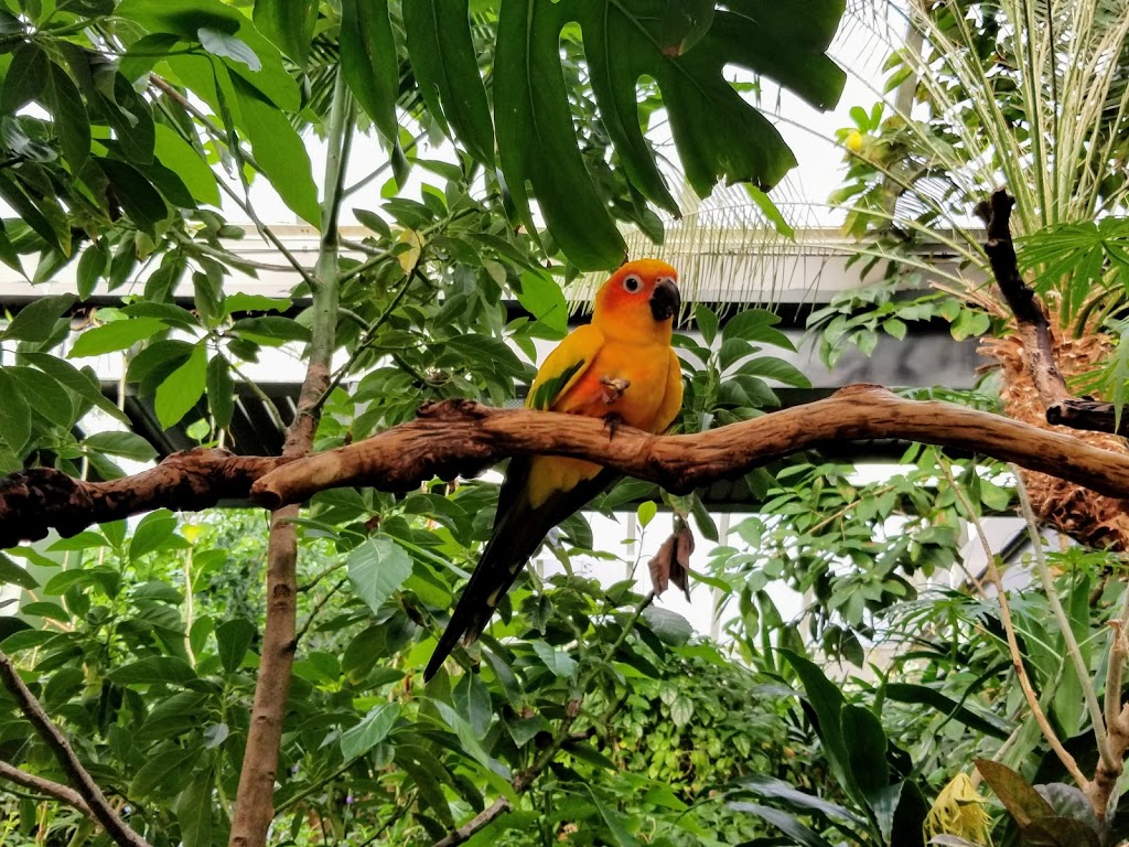 Victoria Butterfly Gardens | 1461 Benvenuto Ave, Brentwood Bay, BC V8M 1J5, Canada | Phone: (250) 652-3822