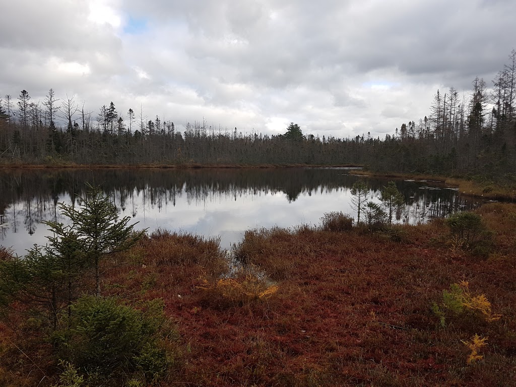 Parc écoforestier de Johnville | 3999 Chemin North, Cookshire-Eaton, QC J0B 1M0, Canada | Phone: (819) 566-5600