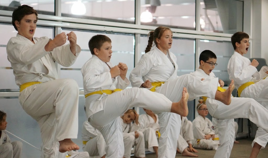 White Heron Martial Arts | 24 Snyder Ave S, Elmira, ON N3B 1Z1, Canada | Phone: (226) 288-3883
