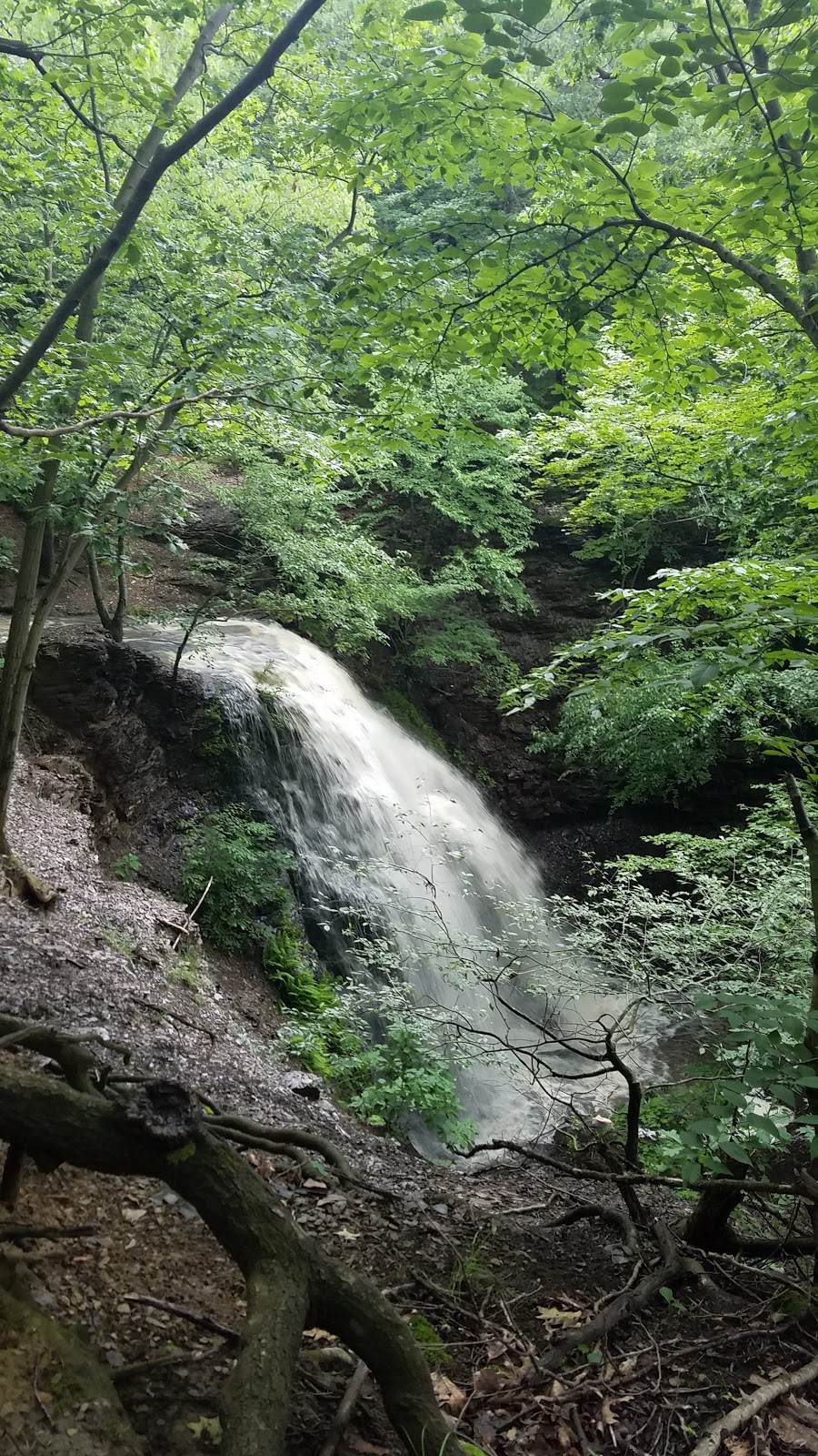 18 Mile Creek Park | 2600-2772 S Creek Rd, Hamburg, NY 14075, USA