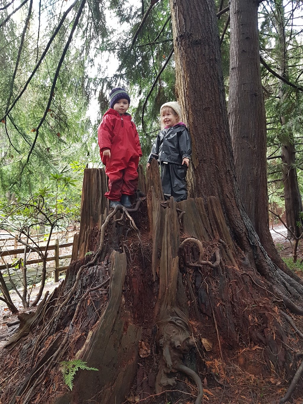 Muddy Boot Prints, Early Learning Outside Inc | 2910 Ontario St #101, Vancouver, BC V5T 2Y6, Canada | Phone: (604) 781-3473