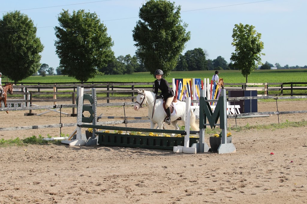 Millside Stables | 675671 16 Line, Bright, ON N0J 1B0, Canada | Phone: (519) 536-1607