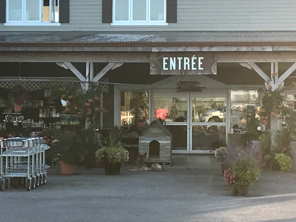 Les Serres Benoit | 721 QC-207, Saint-Constant, QC J5A 2E7, Canada | Phone: (450) 635-9107