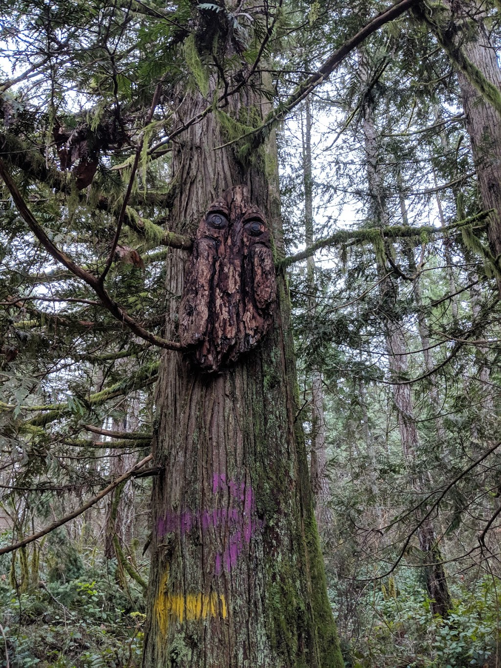 Wulaam (Echo) Park | 3217 Channel Blvd, Chemainus, BC V0R 1K2, Canada