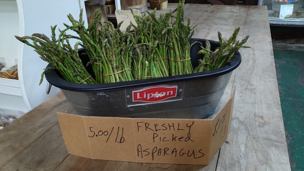 Sanger Farms | 852 Lockport St, Youngstown, NY 14174, USA | Phone: (716) 745-7297