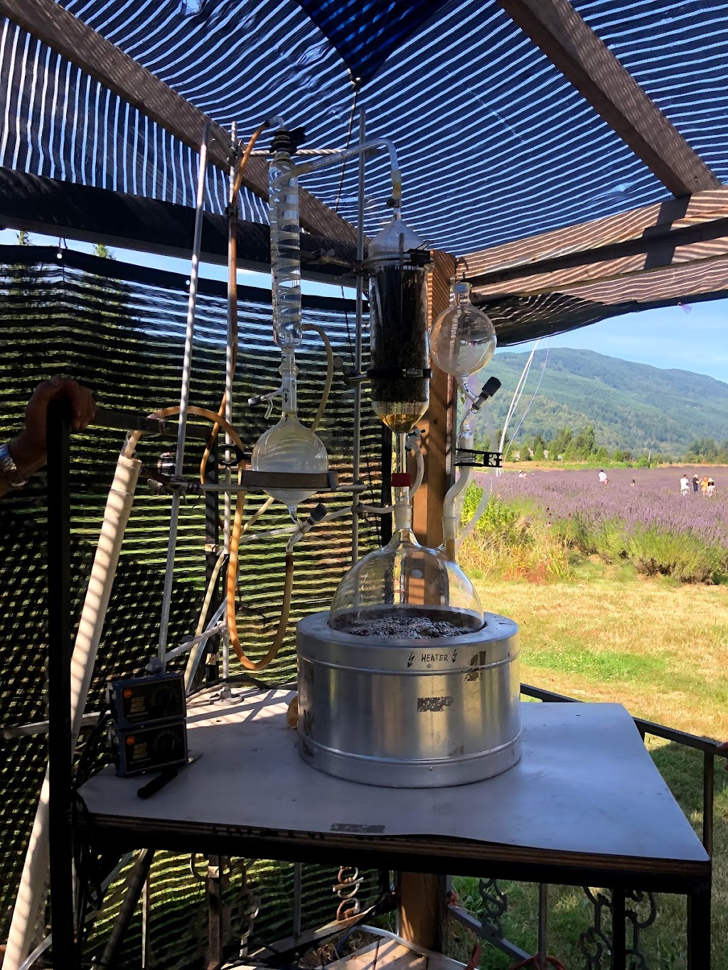 Botanical Specialties | 41525 Henderson Rd, Lindell Beach, BC V2R 4X6, Canada | Phone: (604) 824-2833