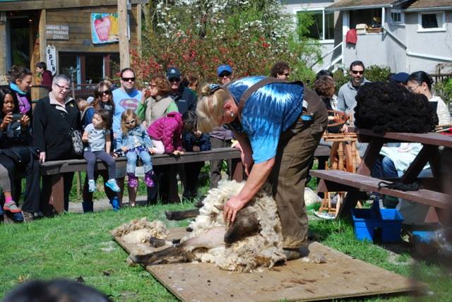 Southlands Farm Outdoor School | 6767 Balaclava St, Vancouver, BC V6N 0A7, Canada | Phone: (604) 261-1295