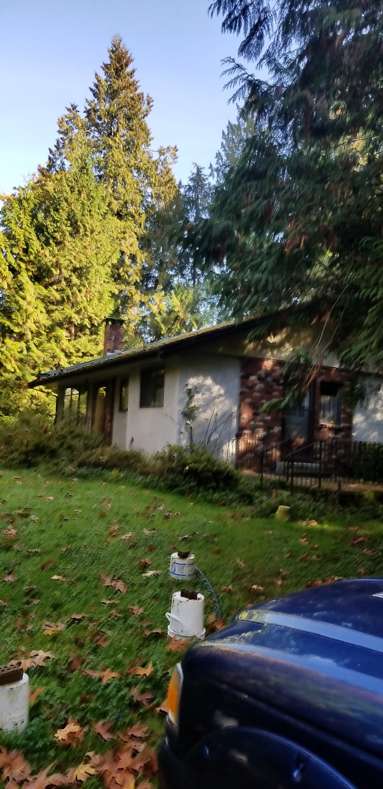 MapleArt | 24705 108 Ave, Maple Ridge, BC V2W 1G7, Canada | Phone: (604) 467-2287