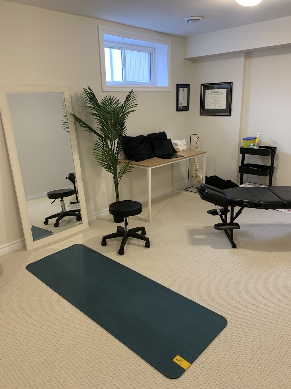 Dr. Ryley Hayter, Stittsville Chiropractor | 216 Tim Sheehan Pl, Ottawa, ON K2S 1B6, Canada | Phone: (343) 297-4585