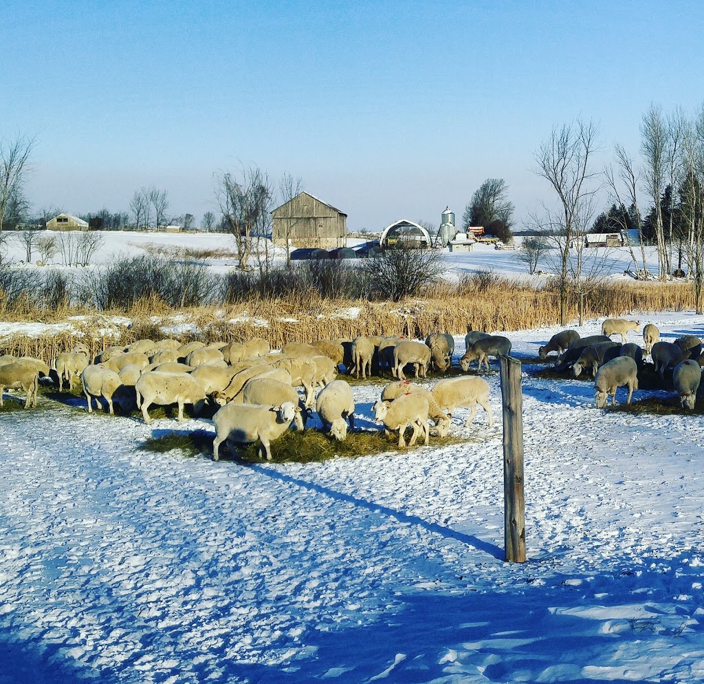 Harley Farms | 1630 Heritage Line, Keene, ON K0L 2G0, Canada | Phone: (705) 295-1925